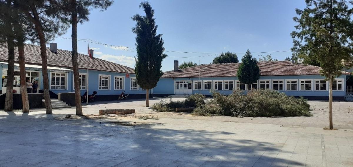 Okul bah&ccedil;esindeki &ccedil;am ağa&ccedil;lar kesildi
