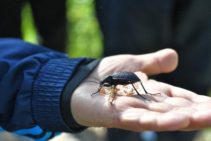 Başkan Büyükkılıç’tan ’Koramaz’ çıkarması G3