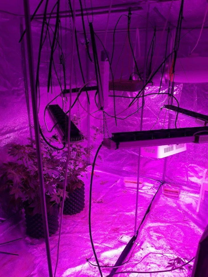 Polis, ‘hırsızlık’ şüphesiyle gittiği evde uyuşturucu serasıyla karşılaştı G1