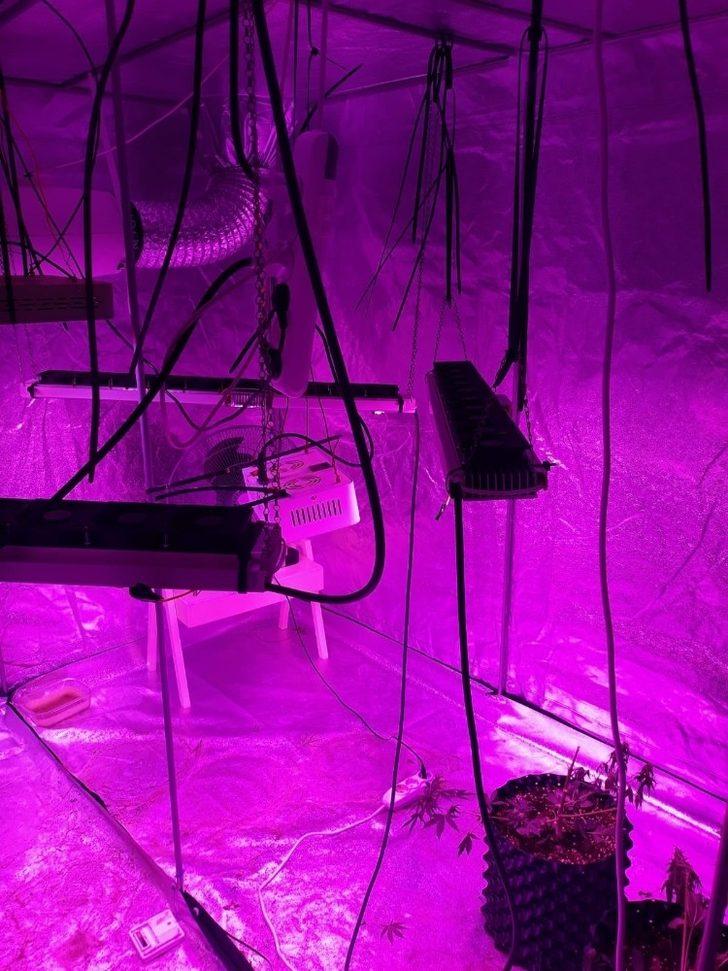 Polis, ‘hırsızlık’ şüphesiyle gittiği evde uyuşturucu serasıyla karşılaştı G2