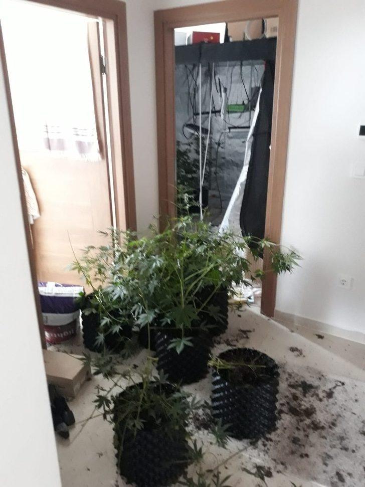 Polis, ‘hırsızlık’ şüphesiyle gittiği evde uyuşturucu serasıyla karşılaştı G3