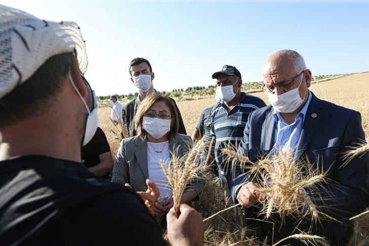 Şahin Nizip ve Karkamış’ta hasat yapan çiftçiyle buluştu G2