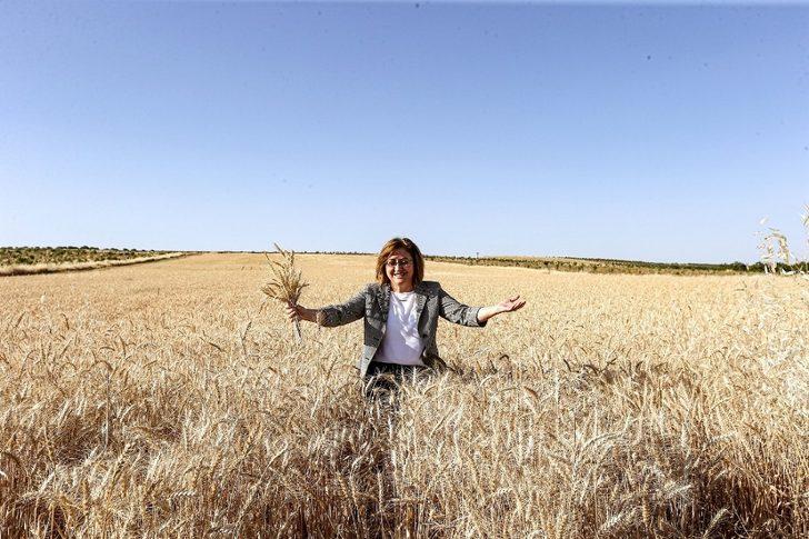 Şahin Nizip ve Karkamış’ta hasat yapan çiftçiyle buluştu G3