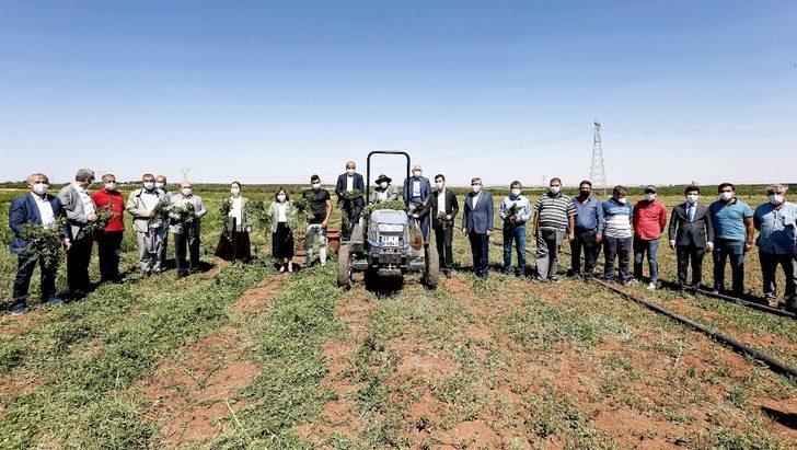 Şahin Nizip ve Karkamış’ta hasat yapan çiftçiyle buluştu G5