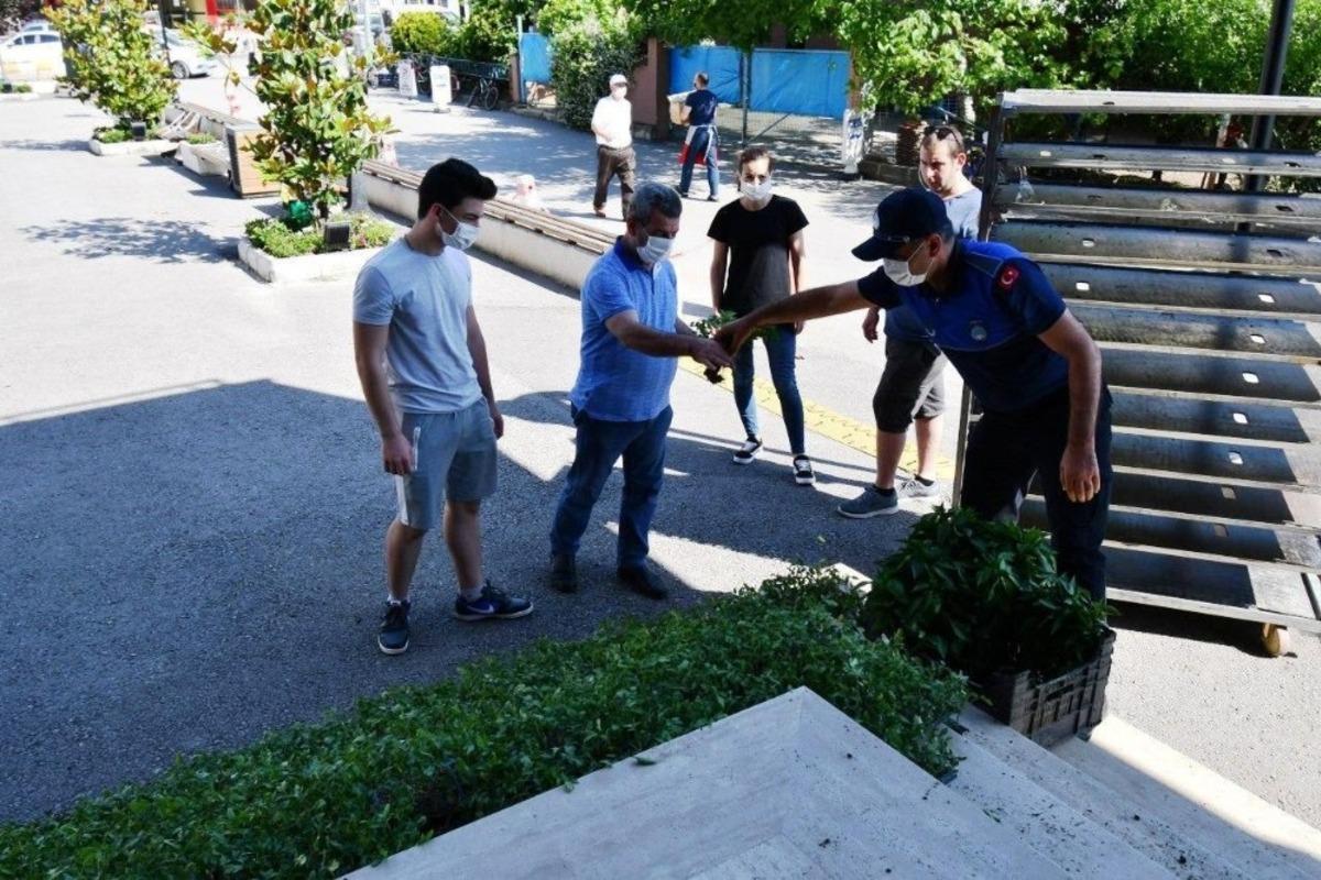 &Uuml;cretsiz yerli tohum fideleri dağıtıldı