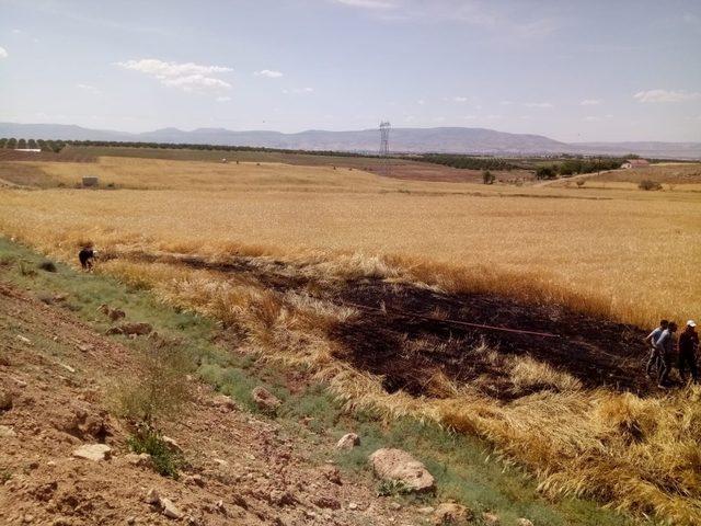 Malatya’da buğday bahçesinde yangın