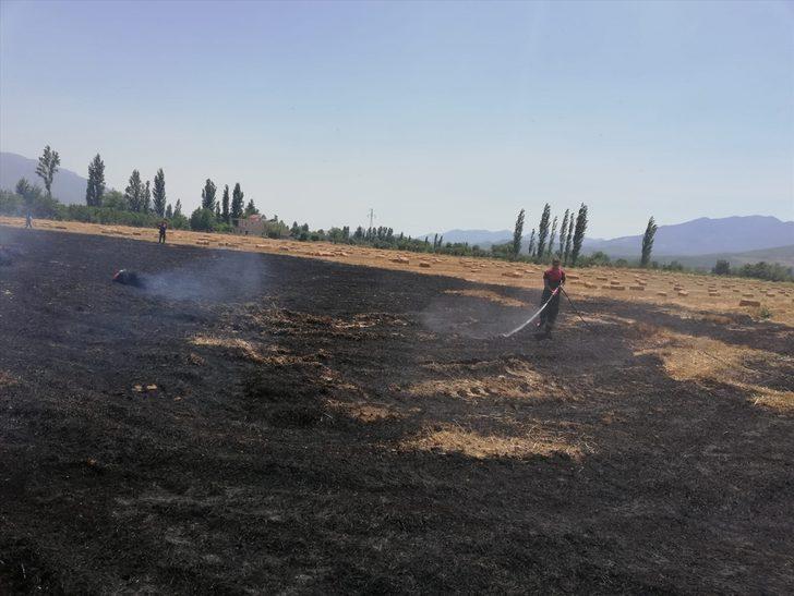 Muğla'da 4 alanda çıkan anız yangınları söndürüldü G1