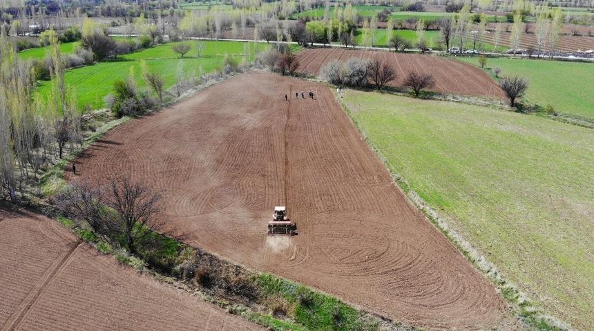 Çiftçiye hazineden ücretsiz arazi