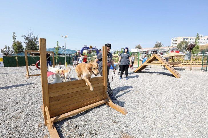 Buca Belediyesi bir yılda 8 bin hayvana kucak açtı G1