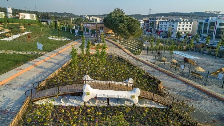 Buca Belediyesi bir yılda 8 bin hayvana kucak açtı G5