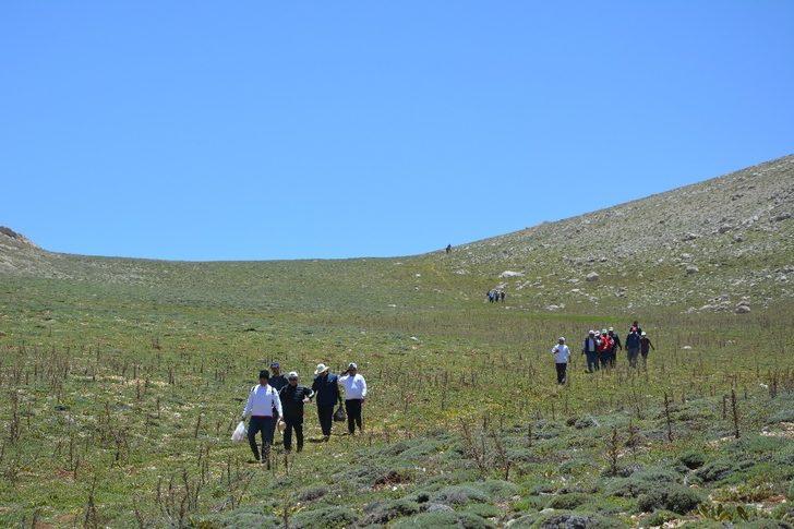 3 bin metre rakımlı Eren Dağı’na doğa yürüyüşü G5