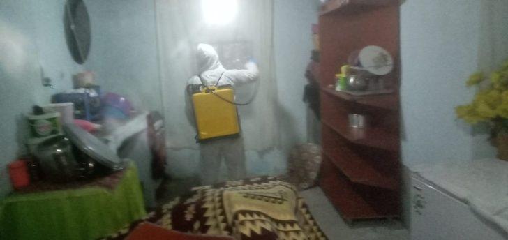 Yılan görülen ev ilaçlandı G1