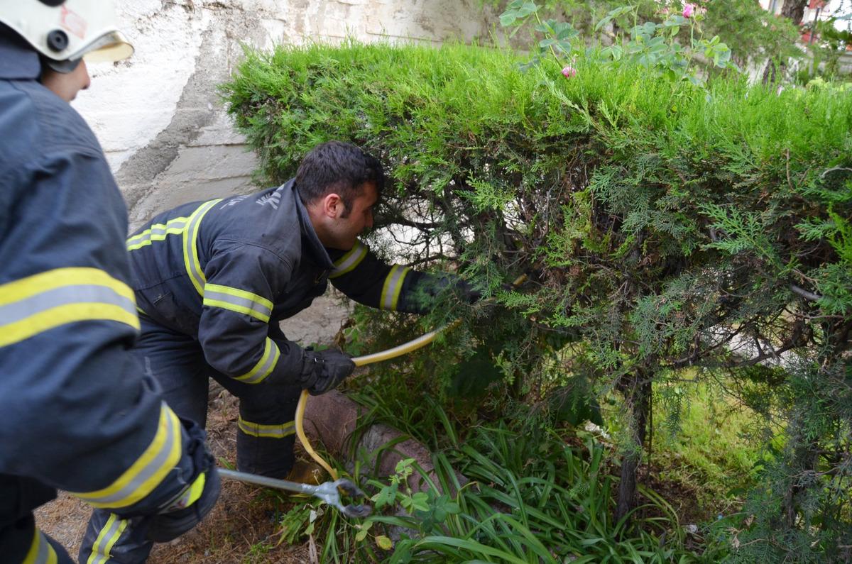 Bah&ccedil;edeki yılanı itfaiye ekiplerini seferber etti