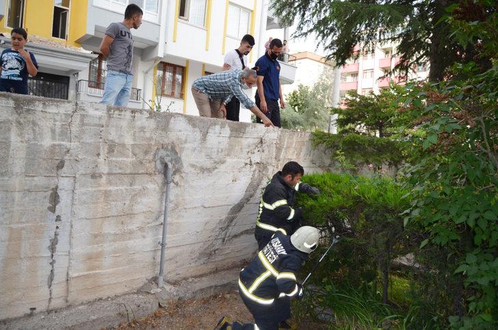 Bahçedeki yılanı itfaiye ekiplerini seferber etti G2