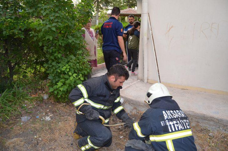 Bahçedeki yılanı itfaiye ekiplerini seferber etti G4