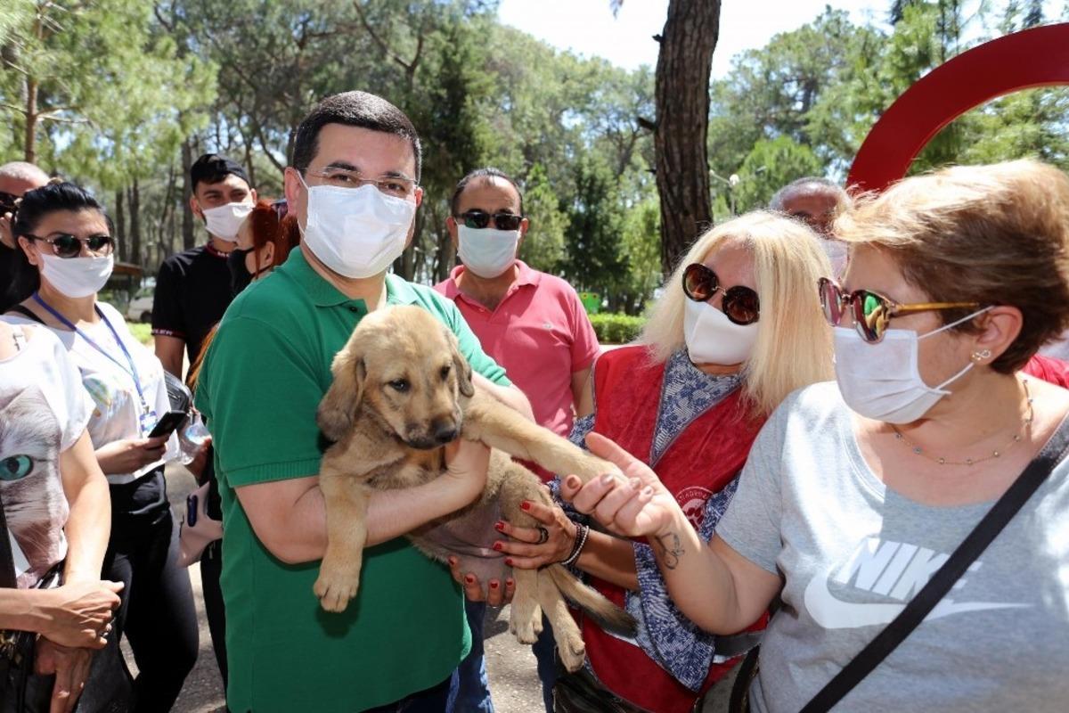 T&uuml;t&uuml;nc&uuml;&rsquo;den, g&ouml;n&uuml;ll&uuml; hayvanseverlere mama ve ila&ccedil; m&uuml;jdesi