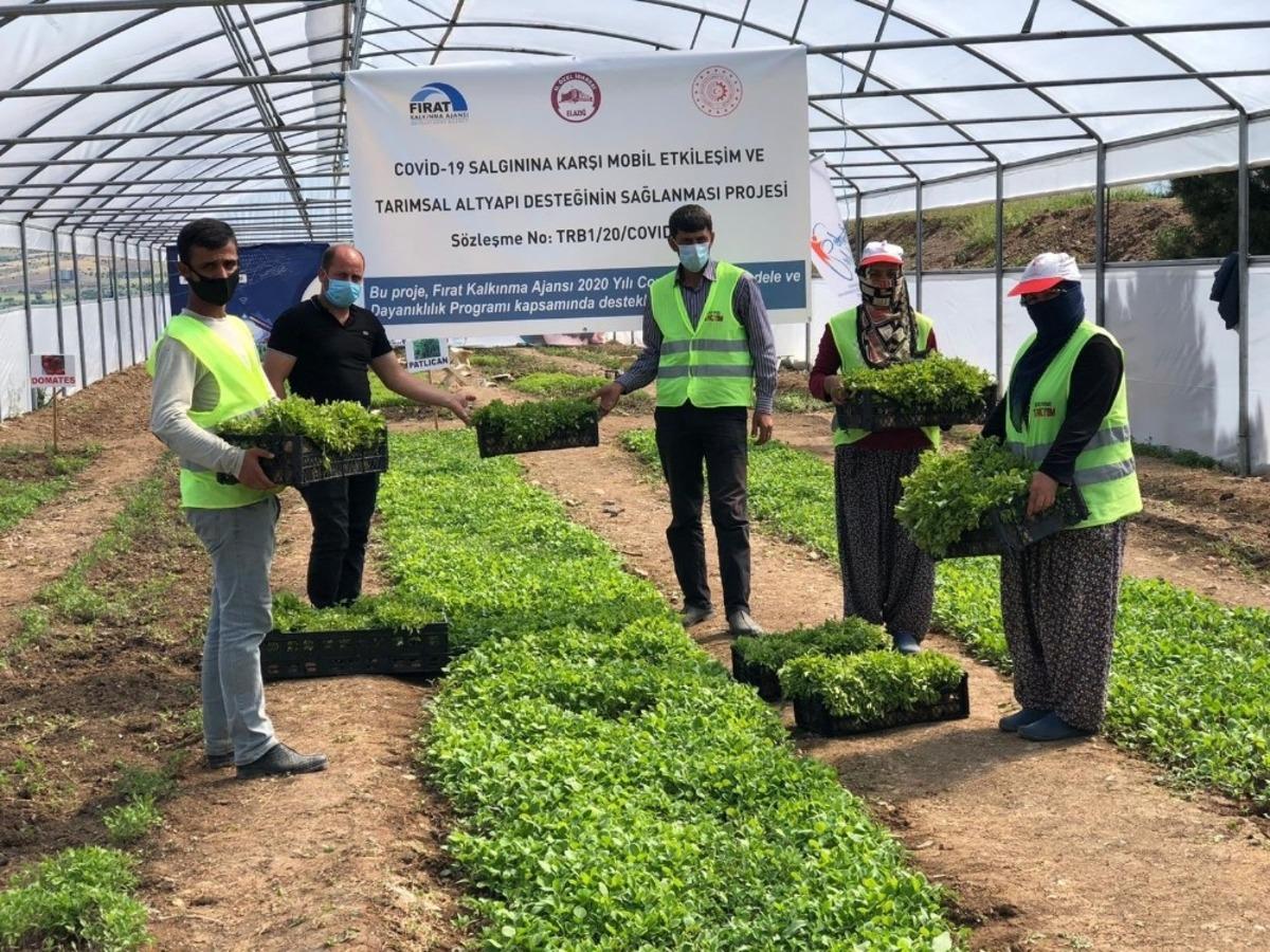 Bing&ouml;l&rsquo;de 200 bin fide toprakla buluştu