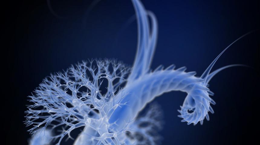 152 metre aşağıda deniz canlılarını fotoğrafladı