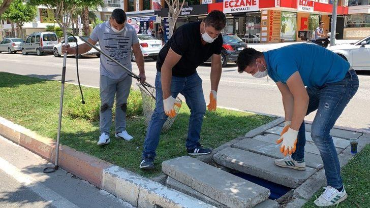 Kanalizasyondan kurtarılan sevimli yavru kedi sahibini bekliyor G4