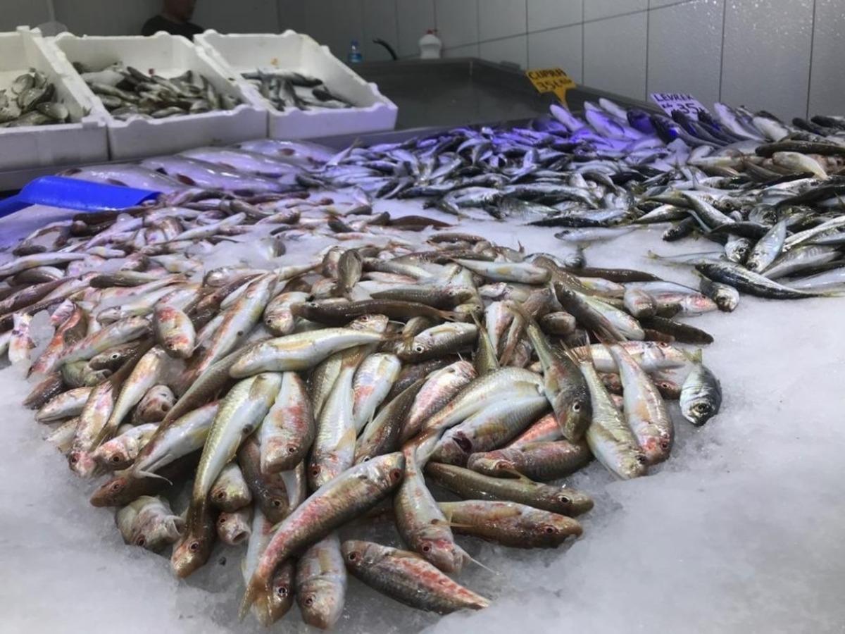 Korona vir&uuml;s balık&ccedil;ıları vurdu