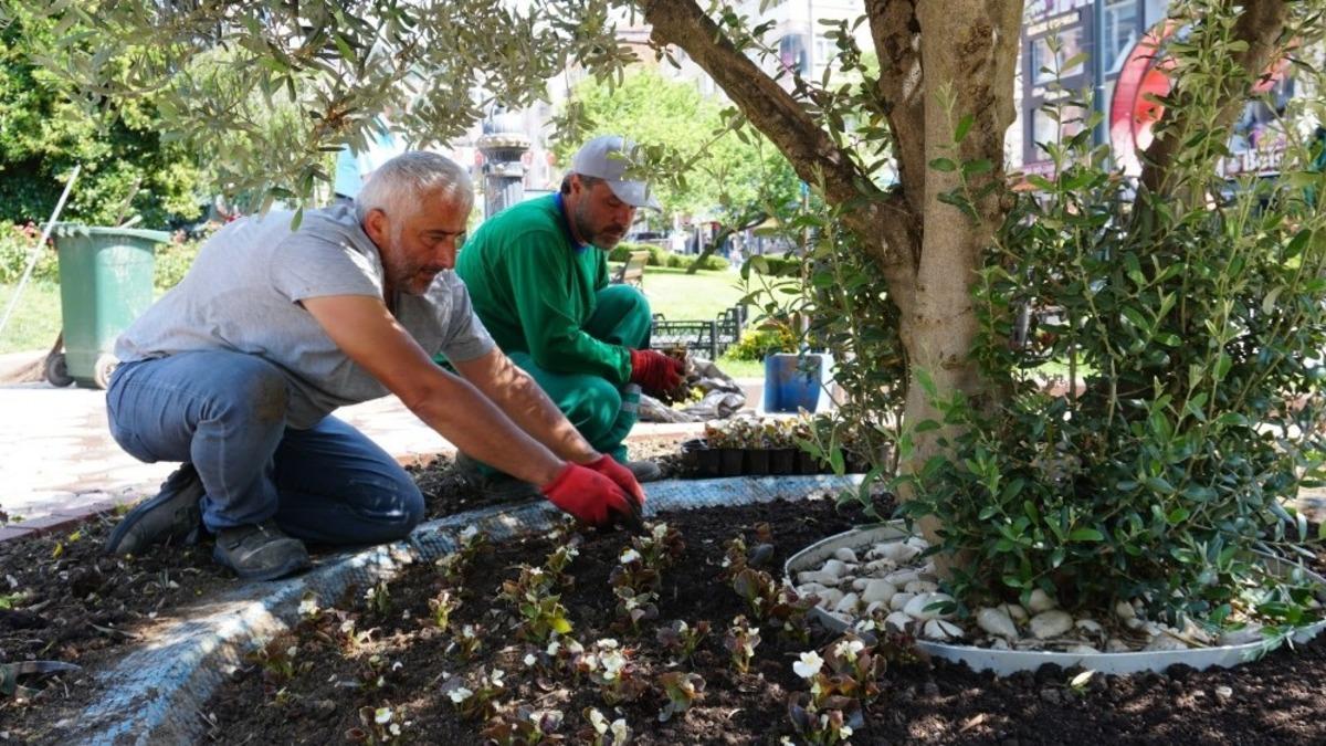 İzmit&rsquo;te &ccedil;i&ccedil;ekler toprakla buluşmaya devam ediyor
