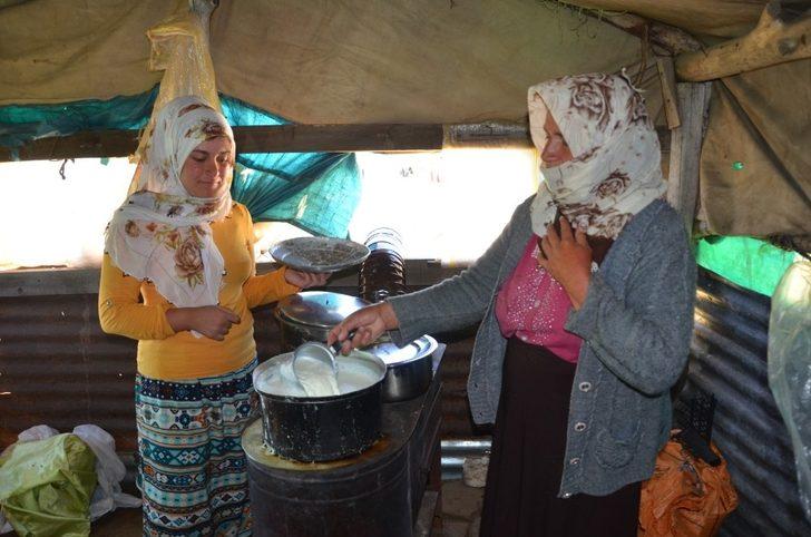 Muş’ta köylüler yaylaya çıkmaya başladı G2