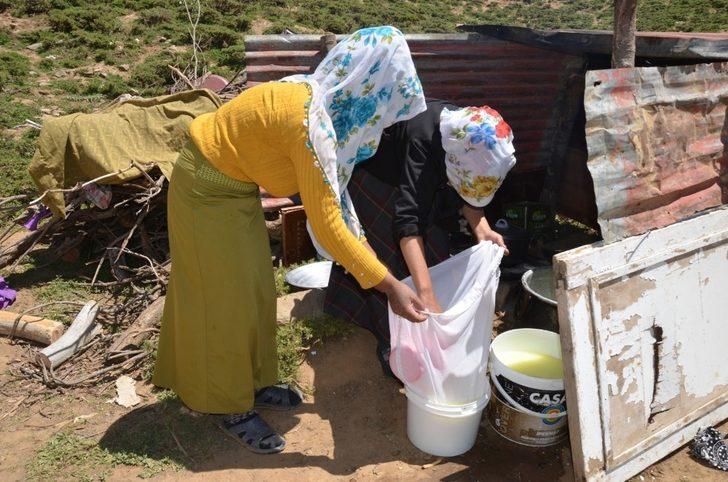 Muş’ta köylüler yaylaya çıkmaya başladı G3