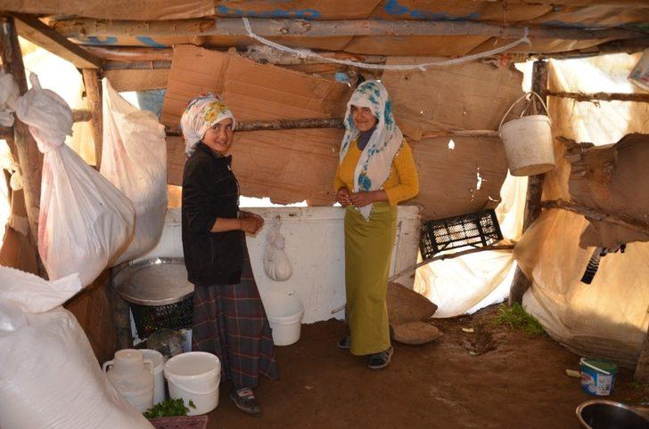 Muş’ta köylüler yaylaya çıkmaya başladı G4