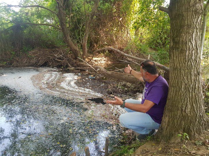 Endişelendiren görüntü! Yüzlerce balık öldü G4