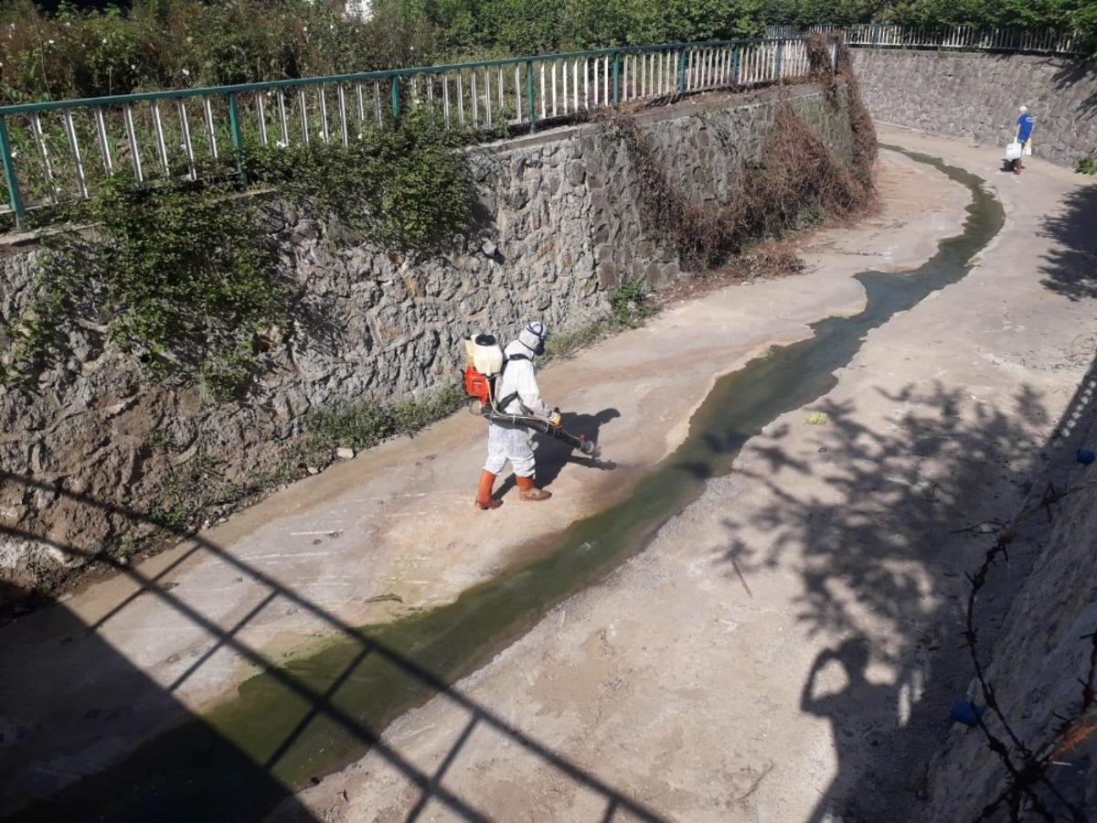 Kdz.Ereğli Belediyesi sivrisineklerle m&uuml;cadele başlattı