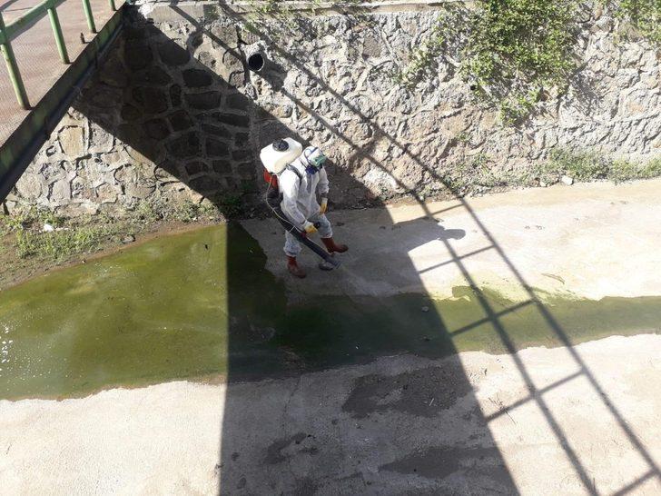 Kdz.Ereğli Belediyesi sivrisineklerle mücadele başlattı G2