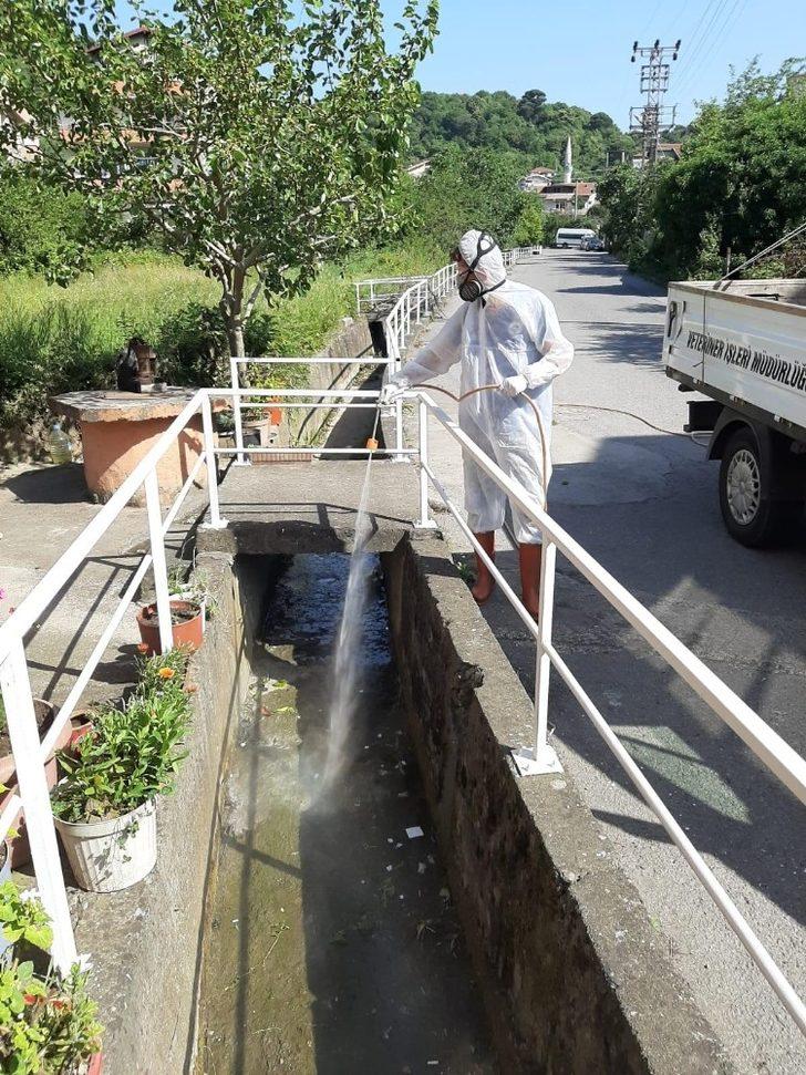 Kdz.Ereğli Belediyesi sivrisineklerle mücadele başlattı G3