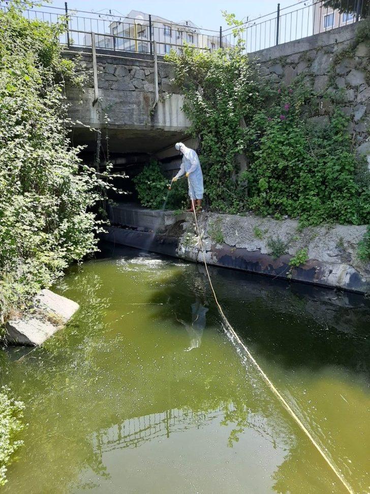 Kdz.Ereğli Belediyesi sivrisineklerle mücadele başlattı G4