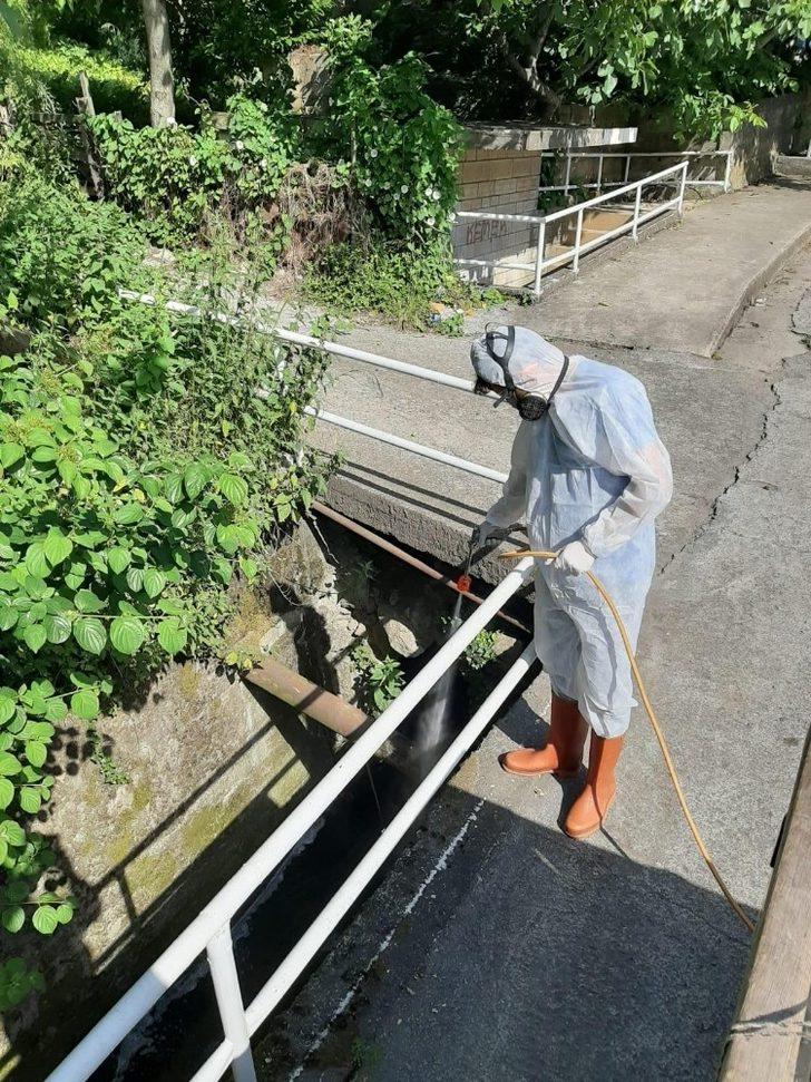 Kdz.Ereğli Belediyesi sivrisineklerle mücadele başlattı G5