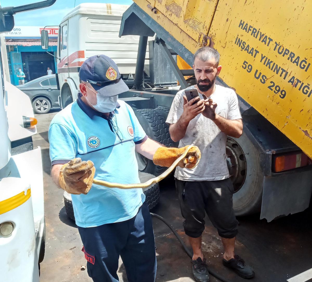 Kamyonun lastiğinde sıkışan yılanı itfaiye kurtardı