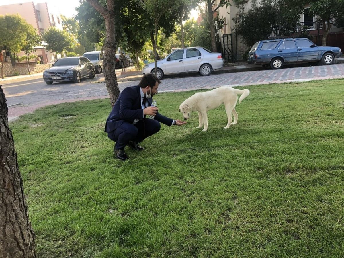 AK Parti&rsquo;li başkan sokak k&ouml;peğine eliyle su i&ccedil;irdi