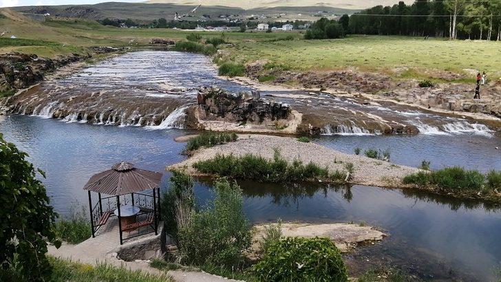 İnci kefalinin geleceği tehlikede G2