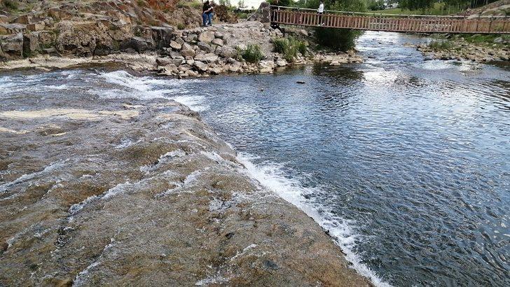 İnci kefalinin geleceği tehlikede G3