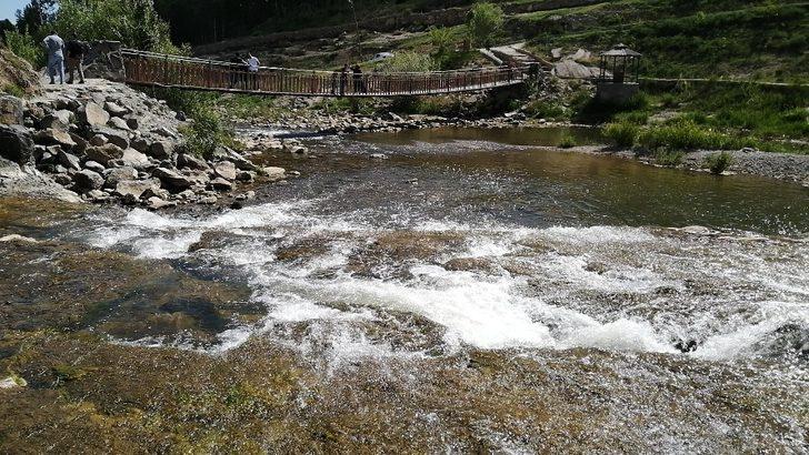 İnci kefalinin geleceği tehlikede G4