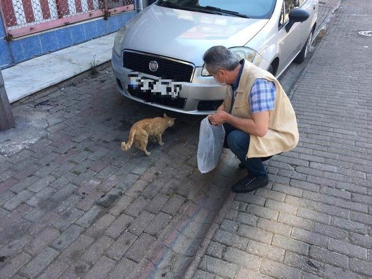 İncirliova’da sokak hayvanları unutulmadı G2