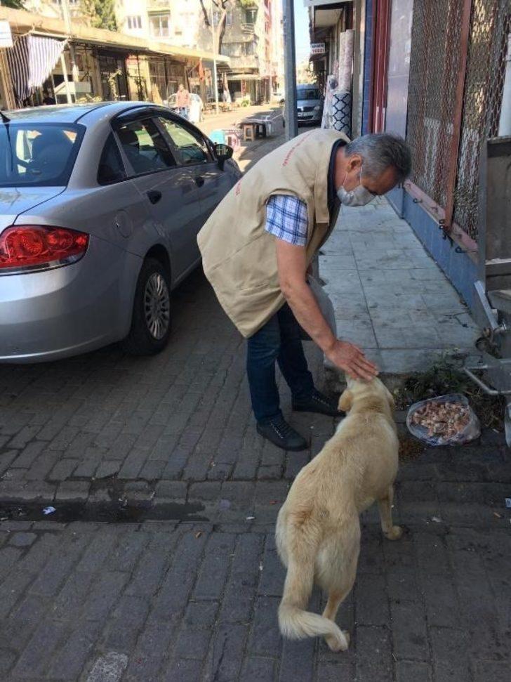 İncirliova’da sokak hayvanları unutulmadı G3