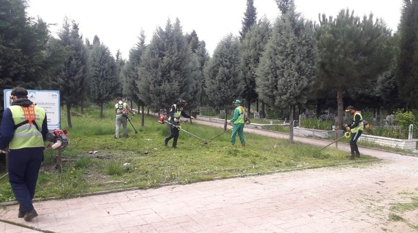 Kartepe&rsquo;de yabani otlar bi&ccedil;iliyor