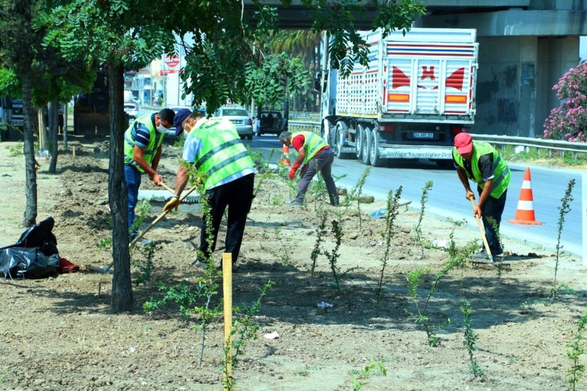 Park ve bah&ccedil;elerdeki &ccedil;alışmalar hızlandı