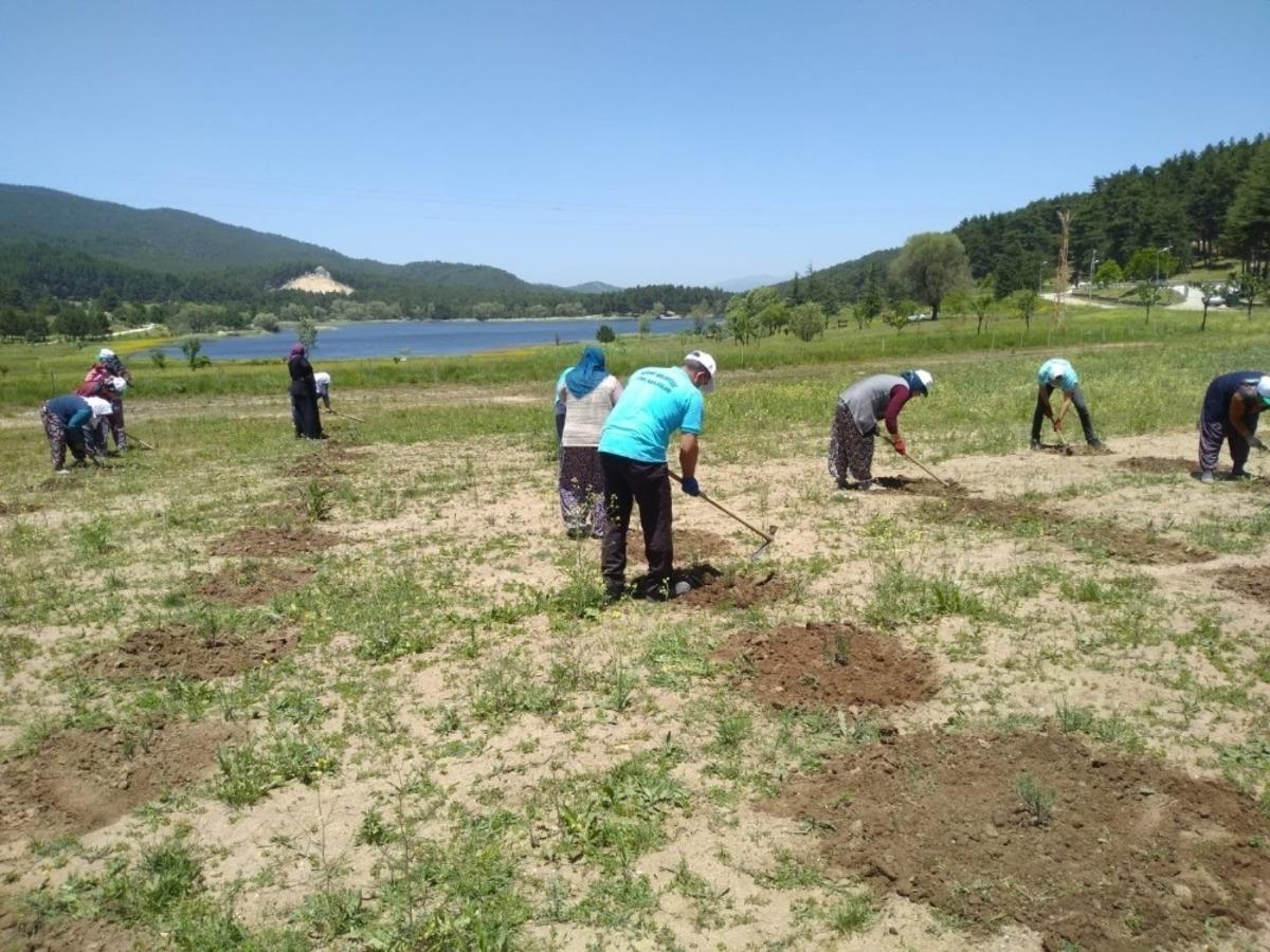 Lavanta bah&ccedil;elerinde bakım &ccedil;alışması