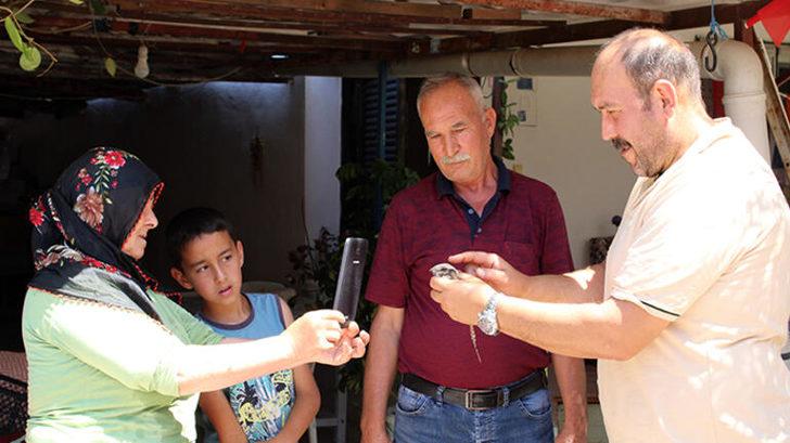 Mersin'de yaralı bulunan çobanaldatan kuşu tedaviye alındı G1