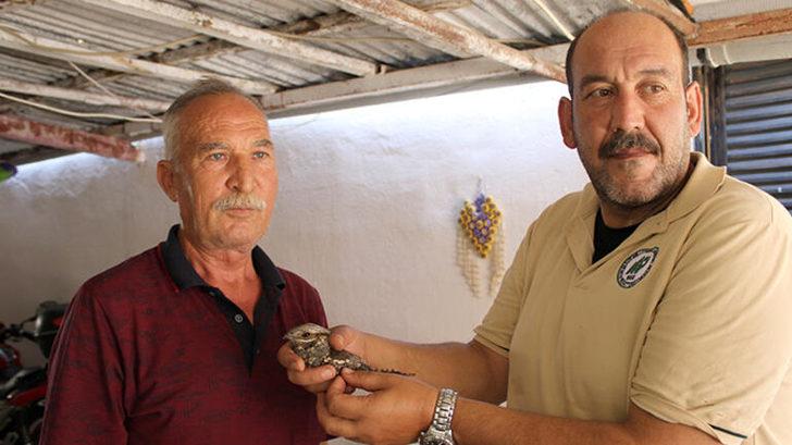 Mersin'de yaralı bulunan çobanaldatan kuşu tedaviye alındı G2