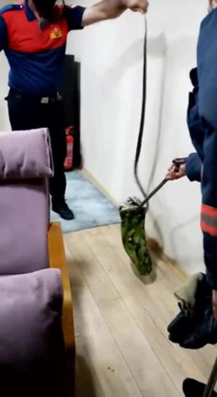 Bu da oldu! Ev sahibi duvardan gelen sesleri duyunca... G2