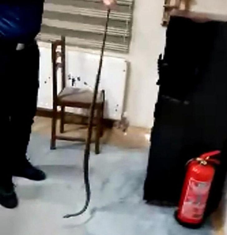 Bu da oldu! Ev sahibi duvardan gelen sesleri duyunca... G5