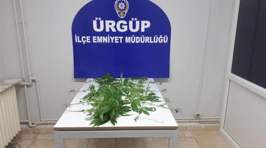 &Uuml;rg&uuml;p&rsquo;te balkonda saklılara ekilmiş Hint keneviri ele ge&ccedil;irildi