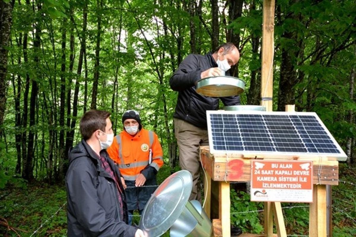 Kızıl kuyruklu kayın tırtılına karşı ışık tuzakları kuruldu
